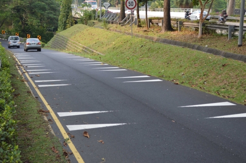 Traffic calming markings